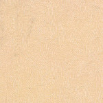 Seacoast Ivory